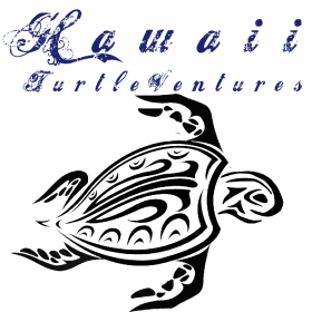 couverture jeu vidéo Hawaii TurtleVentures