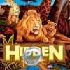 couverture jeu vidéo Hidden Forest Pro