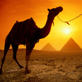 couverture jeu vidéo Hidden Image 100 Wonders