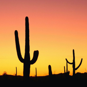 couverture jeu vidéo Hidden Image Landscape