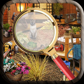 couverture jeu vidéo Hidden Objects*