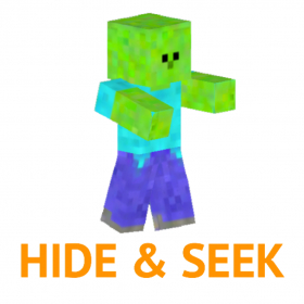 couverture jeux-video Hide and Seek Game