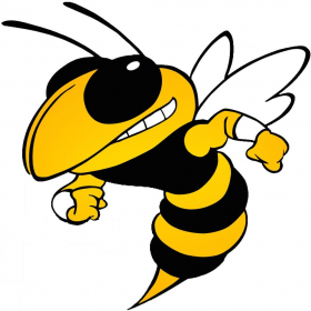 couverture jeu vidéo Hitting Bee 2015