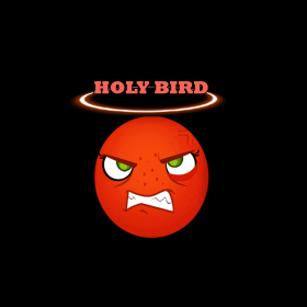 couverture jeu vidéo Holy bird