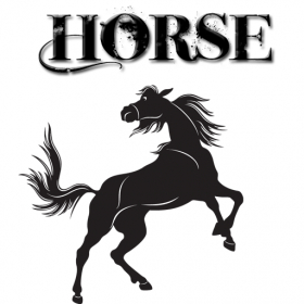 couverture jeu vidéo Horse Paintings