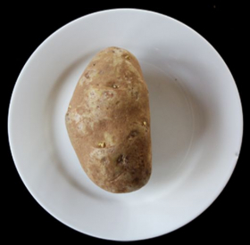 couverture jeu vidéo Hot Potato 2010