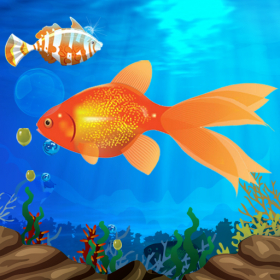 couverture jeu vidéo Hungry Fish Lite