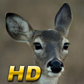 couverture jeu vidéo Hunt Call Pro HD for iPad