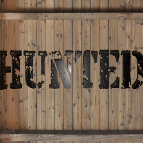couverture jeu vidéo Hunted