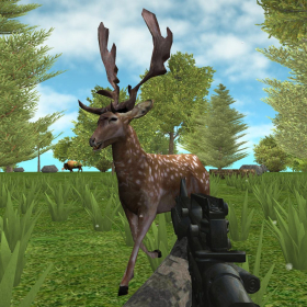 couverture jeux-video Hunter: Animals In The Forest