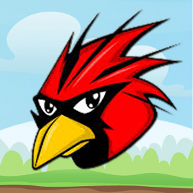 couverture jeu vidéo HunterBirds