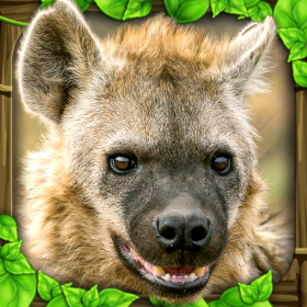 couverture jeu vidéo Hyena Simulator