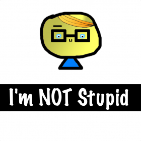 couverture jeux-video I'm Not Stupid Test