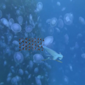 couverture jeu vidéo Iamshark