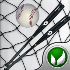 couverture jeu vidéo iBattingCage
