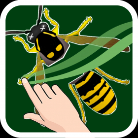 couverture jeu vidéo Insects Slice And Learn