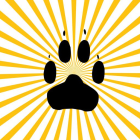 couverture jeu vidéo iPoke the Hibernating Bear
