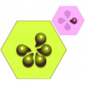 couverture jeu vidéo Jocly Hexplode Free