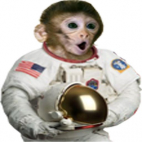 couverture jeu vidéo JoJoChimp