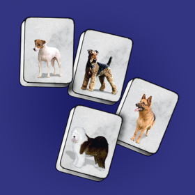 couverture jeu vidéo Jongg de Chien