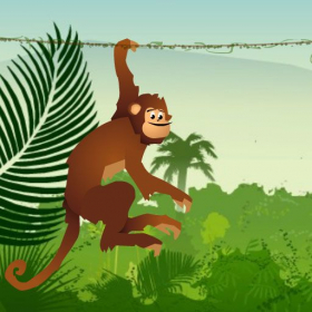 couverture jeu vidéo Jumper Monkey