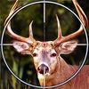 couverture jeu vidéo Jungle Animal Hunting Reloaded - Sniper Hunter