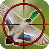 couverture jeu vidéo Jungle Birds Hunting - Addictive Shooting Game