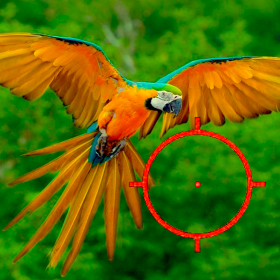 couverture jeu vidéo Jungle Hunting Adventure