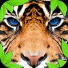 couverture jeu vidéo Jungle Tiger Simulator