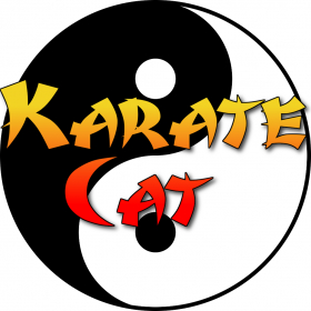 couverture jeu vidéo Karate Cat