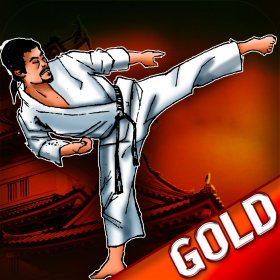couverture jeux-video Karaté Ceinture noire Champions: Le dojo des arts martial Temple de la Paix - Gold Edition