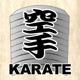couverture jeu vidéo KARATE champion