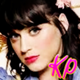 couverture jeu vidéo Katy Perry Pounce Game!