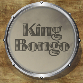 couverture jeu vidéo King Bongo Mini