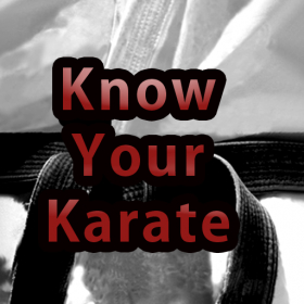 couverture jeu vidéo Know Your Karate