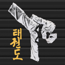 couverture jeu vidéo Know Your Taekwondo