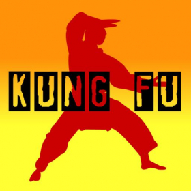 couverture jeu vidéo Kung Fu 2009