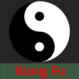 couverture jeu vidéo Kung Fu Moment