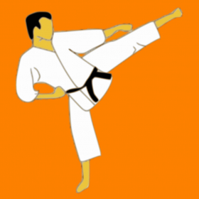 couverture jeu vidéo KungFu Free