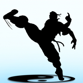 couverture jeu vidéo Kungfu Warriors 3D