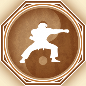 couverture jeu vidéo KungFuInfinity