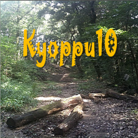 couverture jeu vidéo kyoppu10