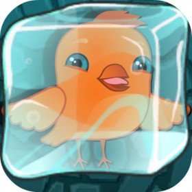 couverture jeu vidéo L'oiseau - glace plus fuir les oiseaux de décongélation