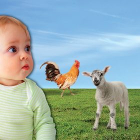 couverture jeu vidéo La ferme : tout l'univers de la ferme, avec des sons et cris d'animaux, en comptines et chansons !