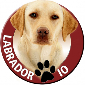 couverture jeu vidéo Labrador IO