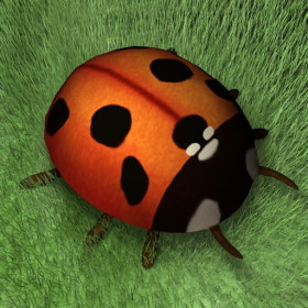 couverture jeu vidéo Ladybug Dreams