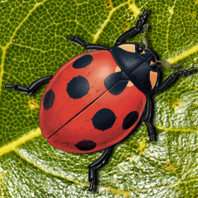 couverture jeu vidéo ladybug garden