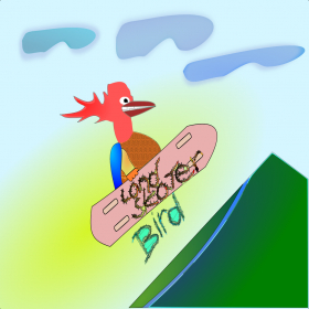 couverture jeu vidéo Land Skater Bird