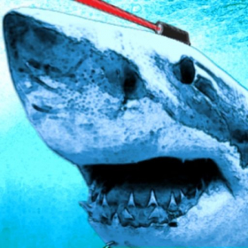 top 10 éditeur Laser Shark