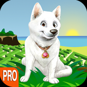 couverture jeu vidéo Le Chien Super Cool Pro - Best Super Fun 3D Cute Puppy Adventure Maze Race Game